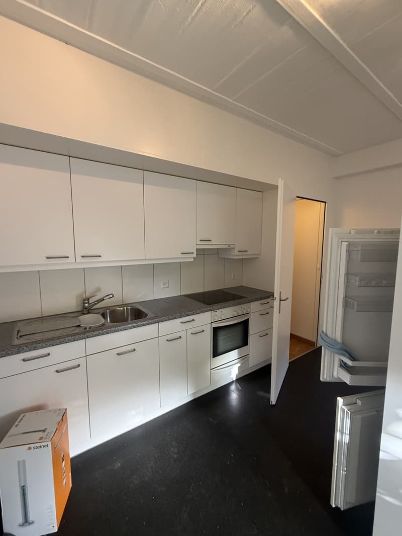 Helle 2.5-Zimmer-Wohnung nahe Uni/ETH mit Gartenmitbenutzung (3)
