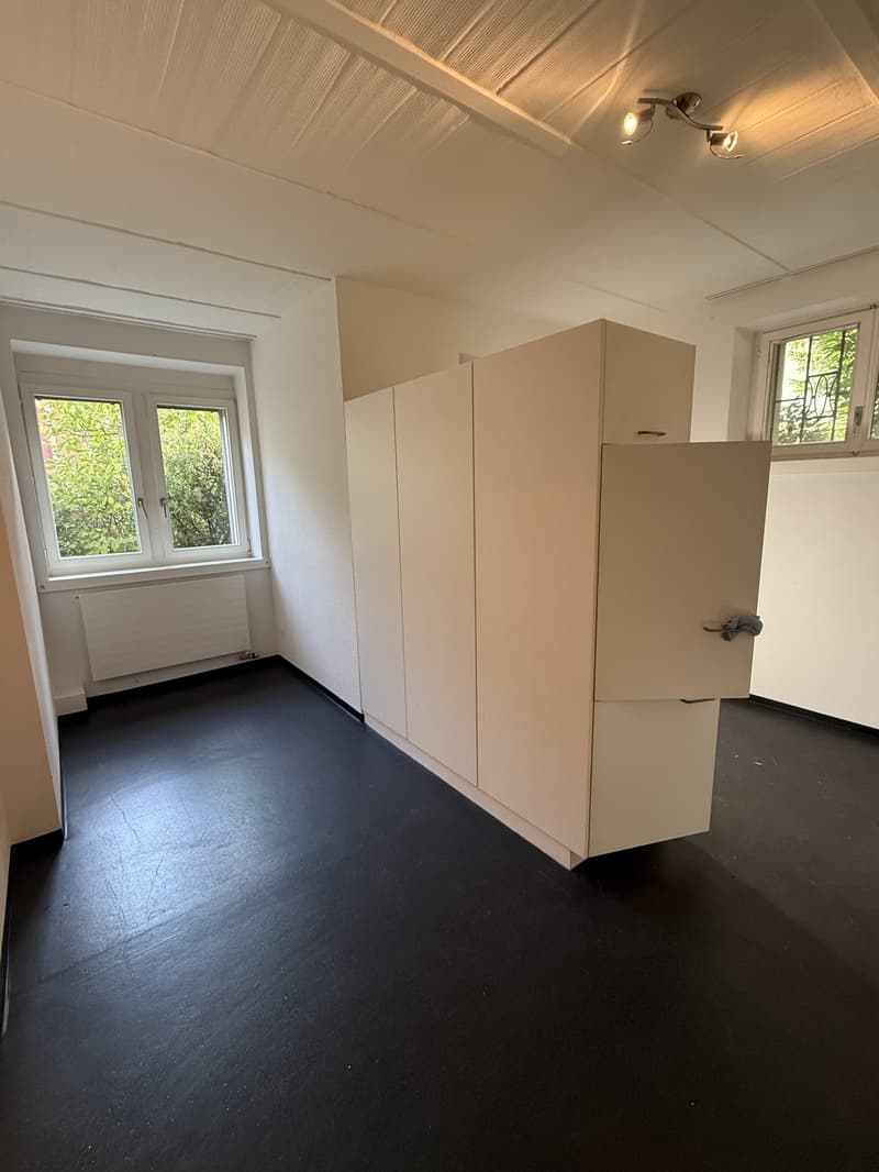 Helle 2.5-Zimmer-Wohnung nahe Uni/ETH mit Gartenmitbenutzung (5)