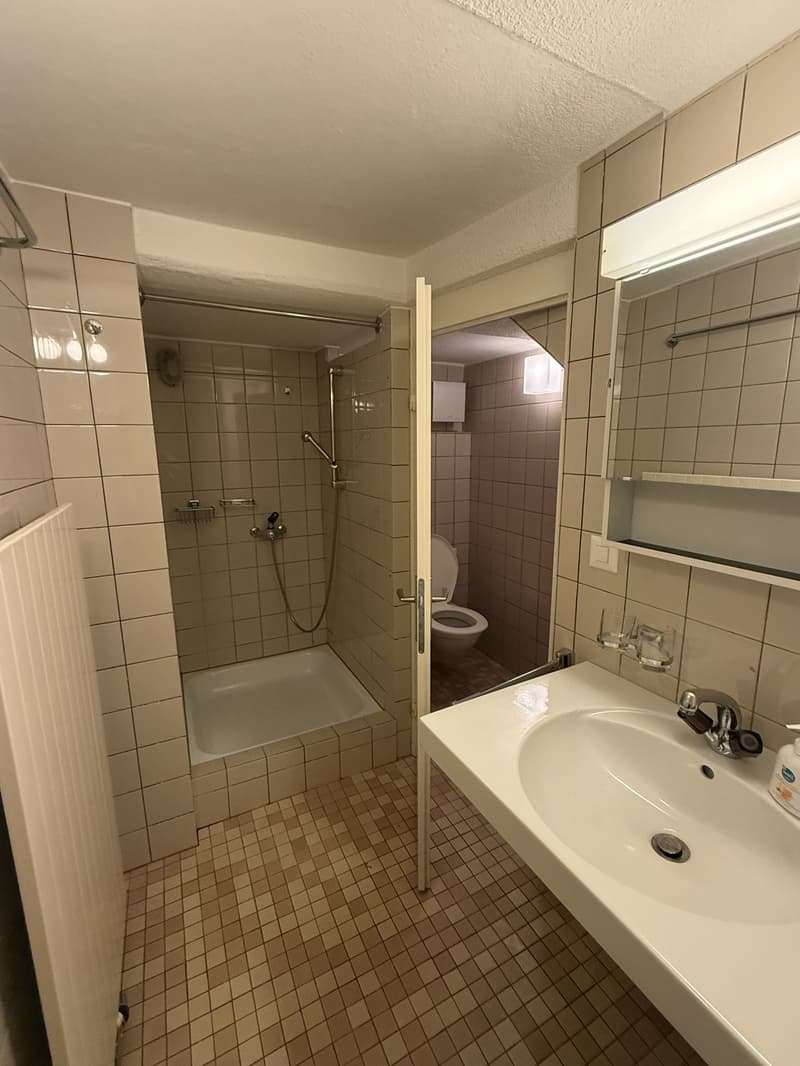 Helle 2.5-Zimmer-Wohnung nahe Uni/ETH mit Gartenmitbenutzung (7)
