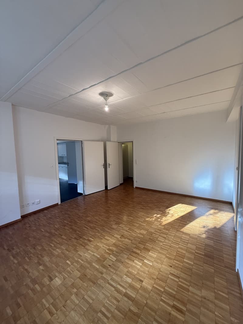 Helle 2.5-Zimmer-Wohnung nahe Uni/ETH mit Gartenmitbenutzung (1)