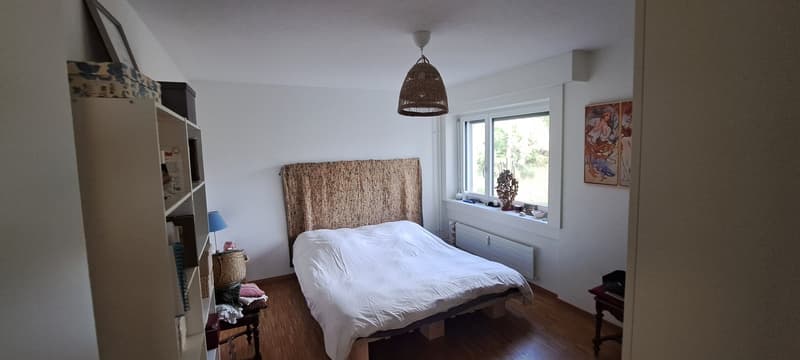Famielinwohnung 41/2 am schübelweiher (8)