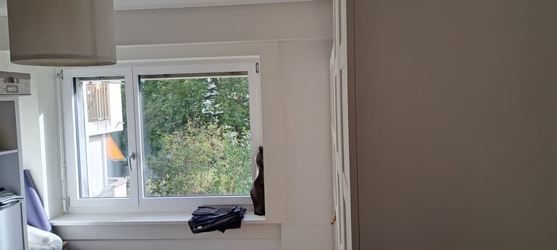 Famielinwohnung 41/2 am schübelweiher (11)