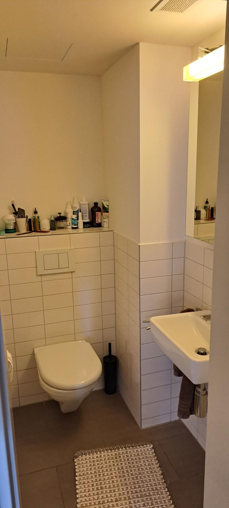 Famielinwohnung 41/2 am schübelweiher (13)