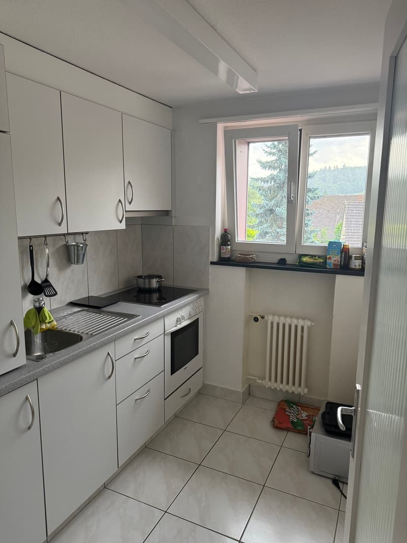Gemütliche 2.5-Zimmer-Wohnung mit Balkon in Unterkulm (3)
