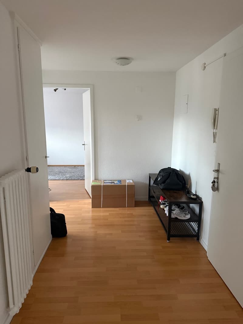 Gemütliche 2.5-Zimmer-Wohnung mit Balkon in Unterkulm (1)