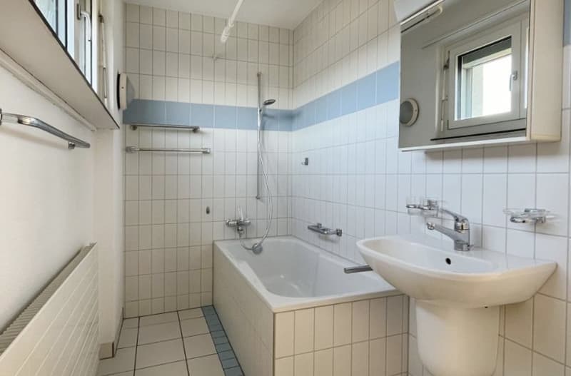 Charmante Wohnung in Lenzburg (5)