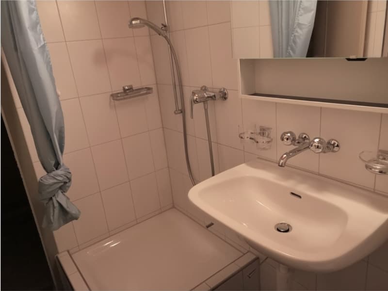Zentrale 1-Zimmerwohnung (2)