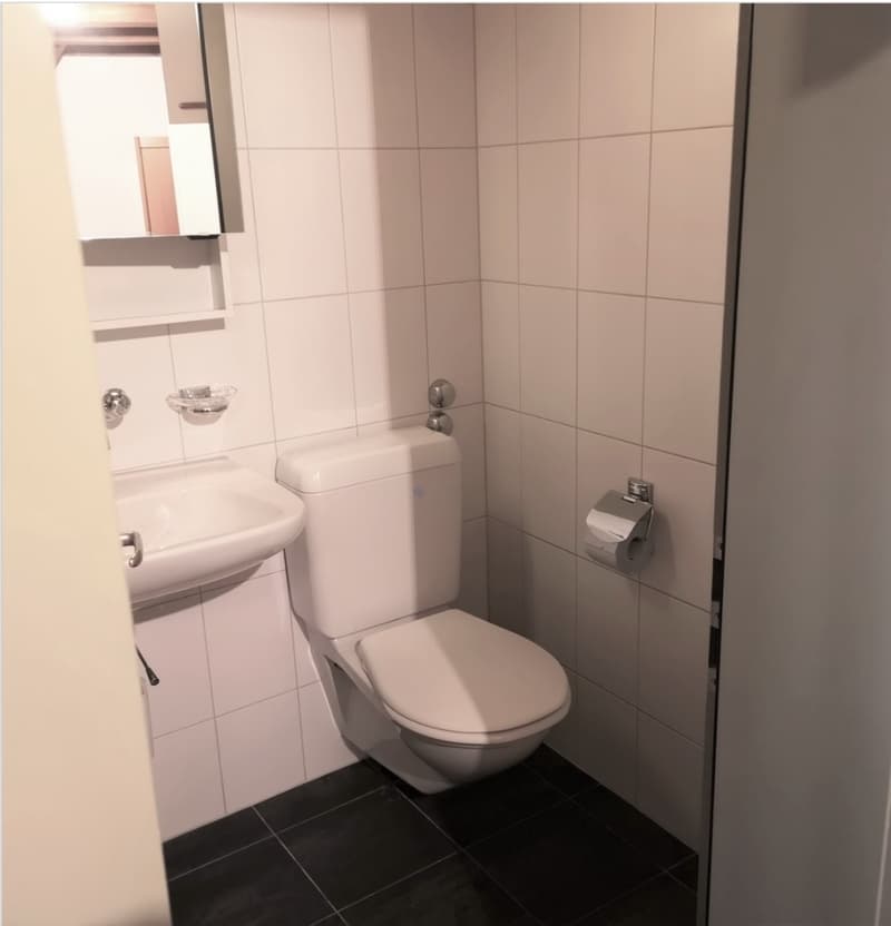 Zentrale 1-Zimmerwohnung (3)