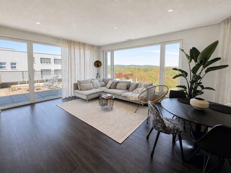 Helle 3.5-Zimmer-Dachwohnung mit 80 m² Dachterrasse in Bremgarten (2)