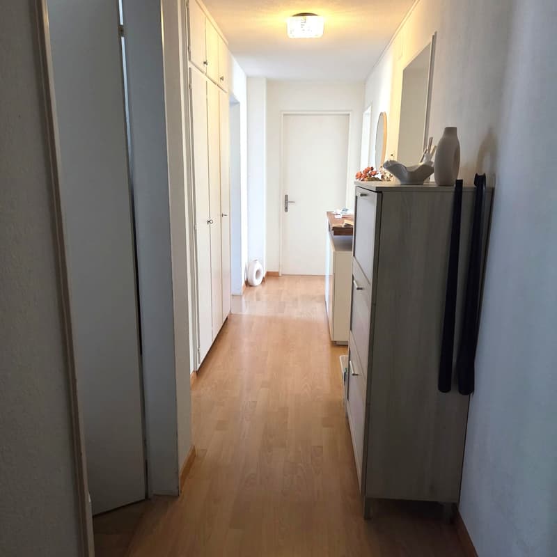 Charmante Wohnung mitten in Emmen! (6)