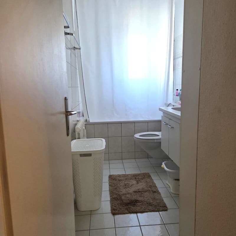 Charmante Wohnung mitten in Emmen! (5)