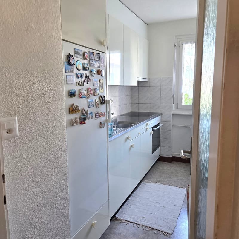 Charmante Wohnung mitten in Emmen! (4)