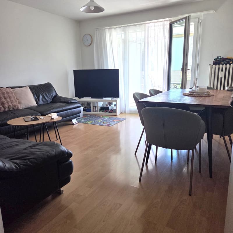 Charmante Wohnung mitten in Emmen! (1)