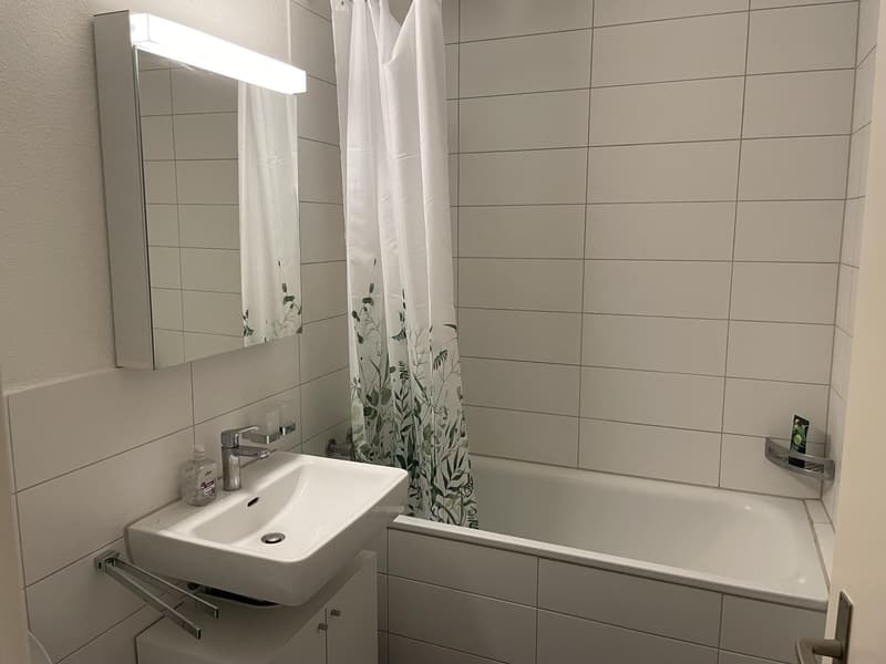 WG Zimmer in zweier WG in 4.5 Zimmer Wohnung (6)