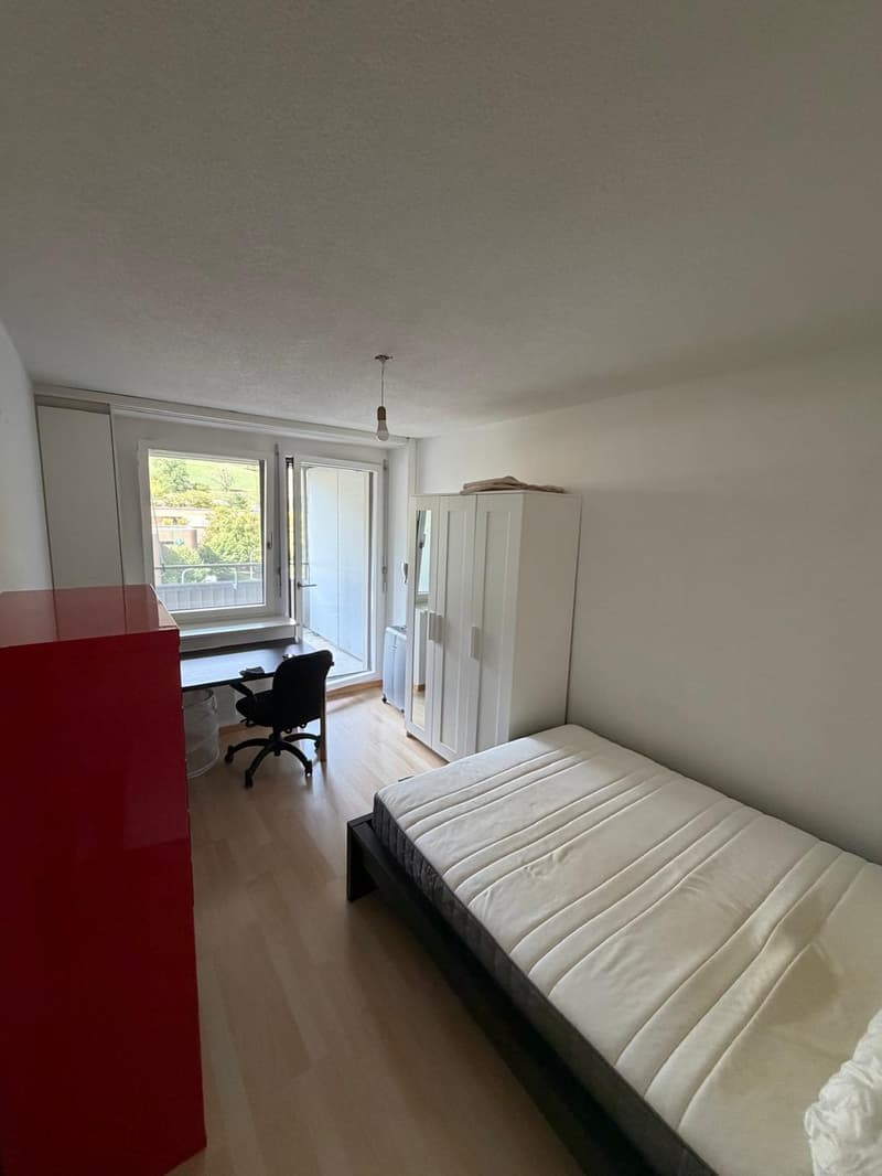 Spacious 5.5-Room Apartment in Zürich  Sihlweidstrasse (10)