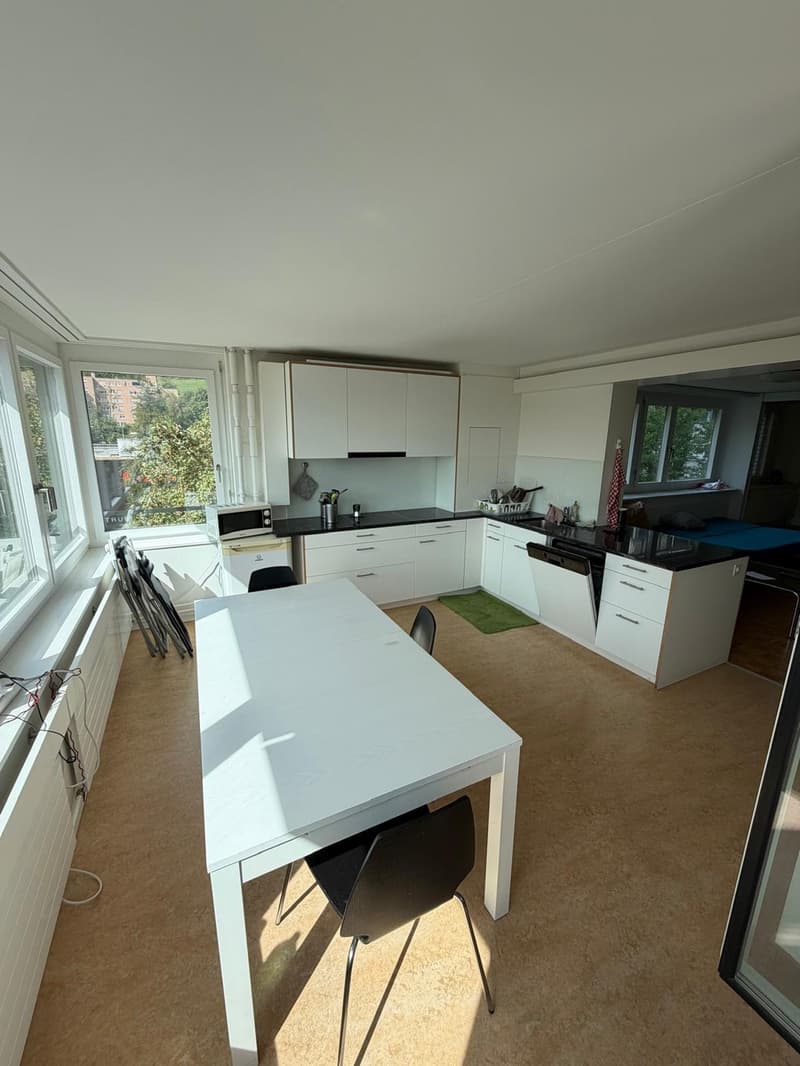 Spacious 5.5-Room Apartment in Zürich  Sihlweidstrasse (3)