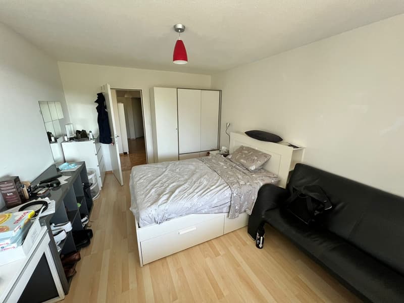 Spacious 5.5-Room Apartment in Zürich  Sihlweidstrasse (7)