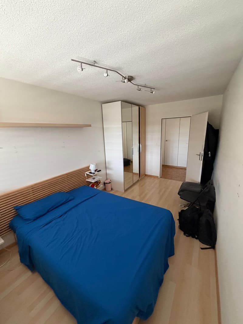 Spacious 5.5-Room Apartment in Zürich  Sihlweidstrasse (12)