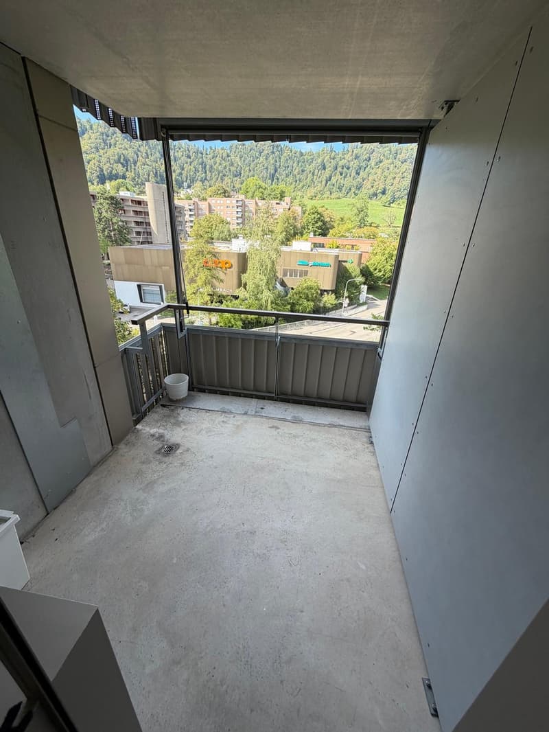 Spacious 5.5-Room Apartment in Zürich  Sihlweidstrasse (11)