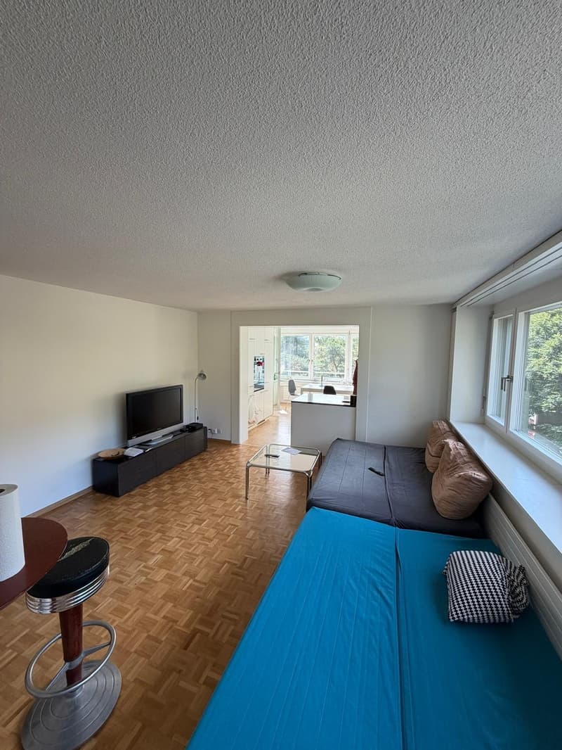 Spacious 5.5-Room Apartment in Zürich  Sihlweidstrasse (5)