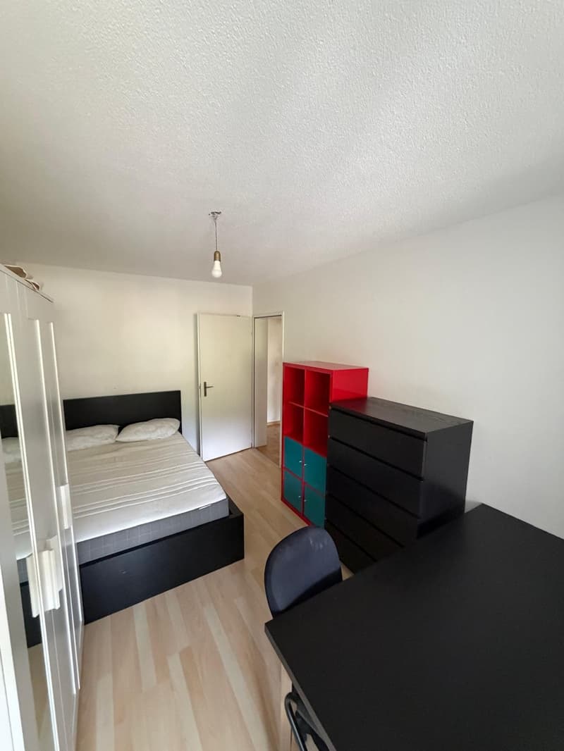 Spacious 5.5-Room Apartment in Zürich  Sihlweidstrasse (9)