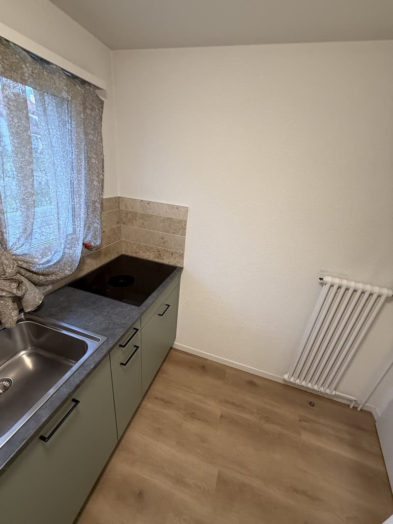 Wunderschöne 2-Zimmer-Wohnung in malerischer und ruhiger Lage (2)