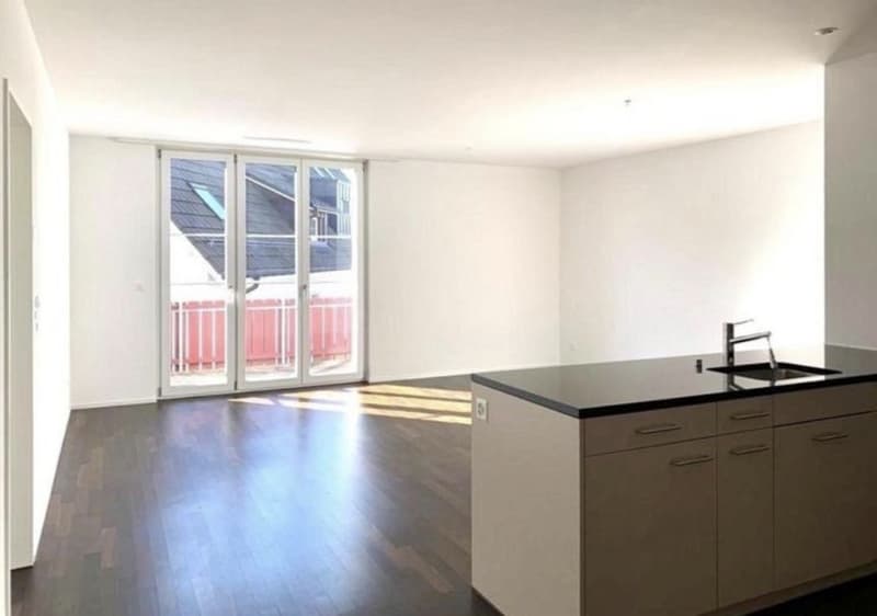 Helle 2.5-Zimmer-Wohnung mit Balkon in Oberhasli (5)