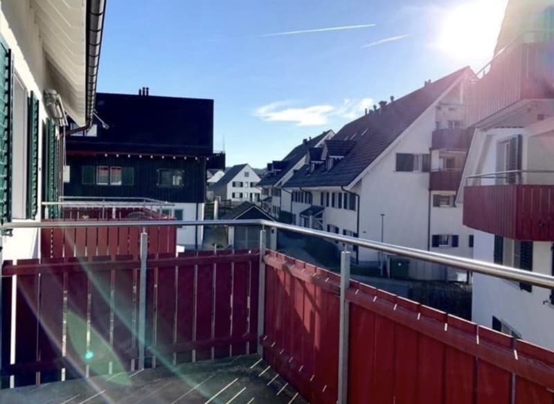 Helle 2.5-Zimmer-Wohnung mit Balkon in Oberhasli (4)