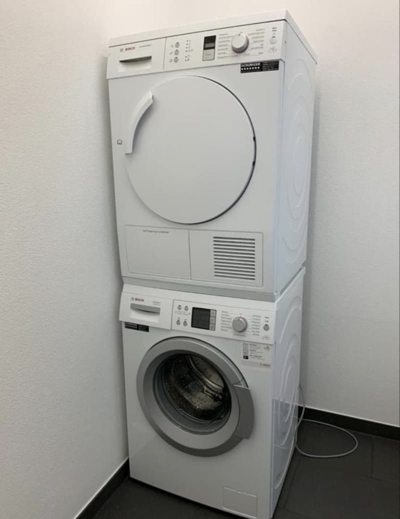 Helle 2.5-Zimmer-Wohnung mit Balkon in Oberhasli (7)