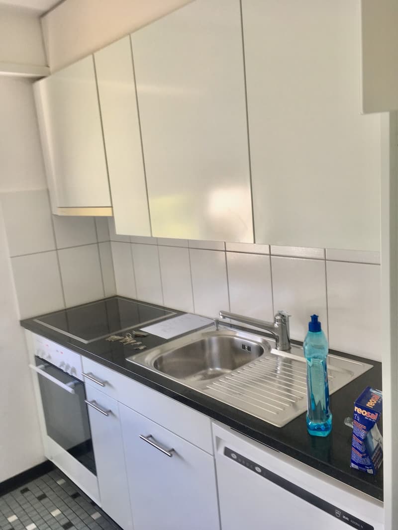 4.5 Zimmer Wohnung zentrale ruhige Lage (3)