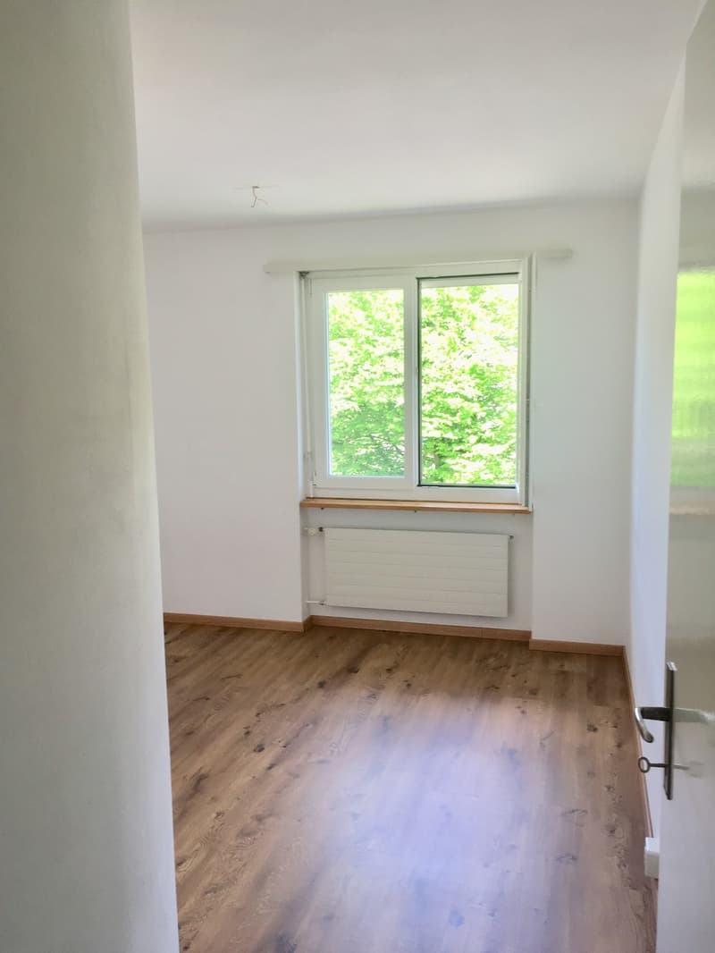 4.5 Zimmer Wohnung zentrale ruhige Lage (5)