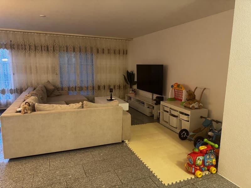 4.5 Zimmer Wohnung (3)