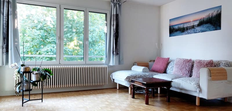 Grosszügige, helle Wohnung (2)