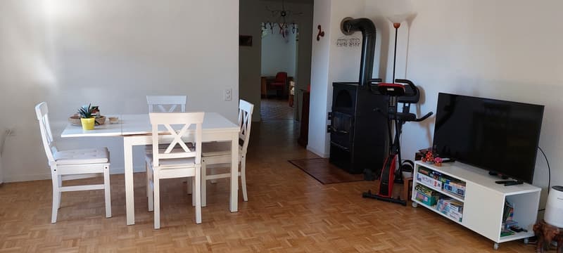 Grosszügige, helle Wohnung (3)