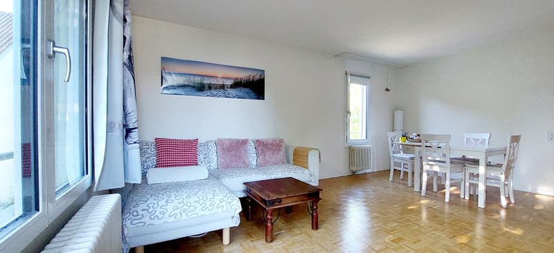 Grosszügige, helle Wohnung (1)