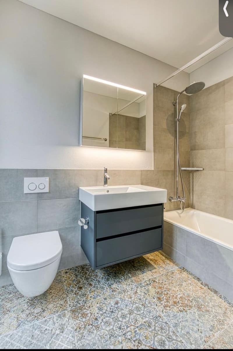 4.5 Zimmer Wohnung (13)