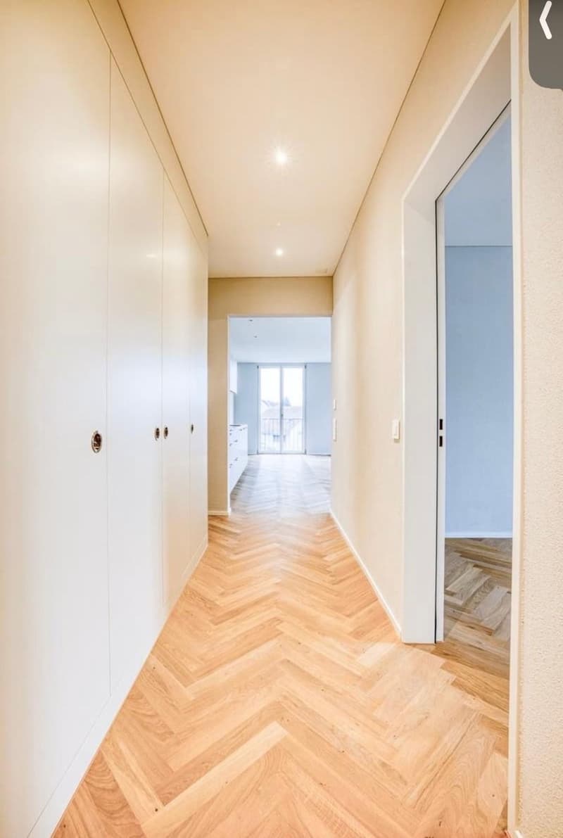 4.5 Zimmer Wohnung (9)