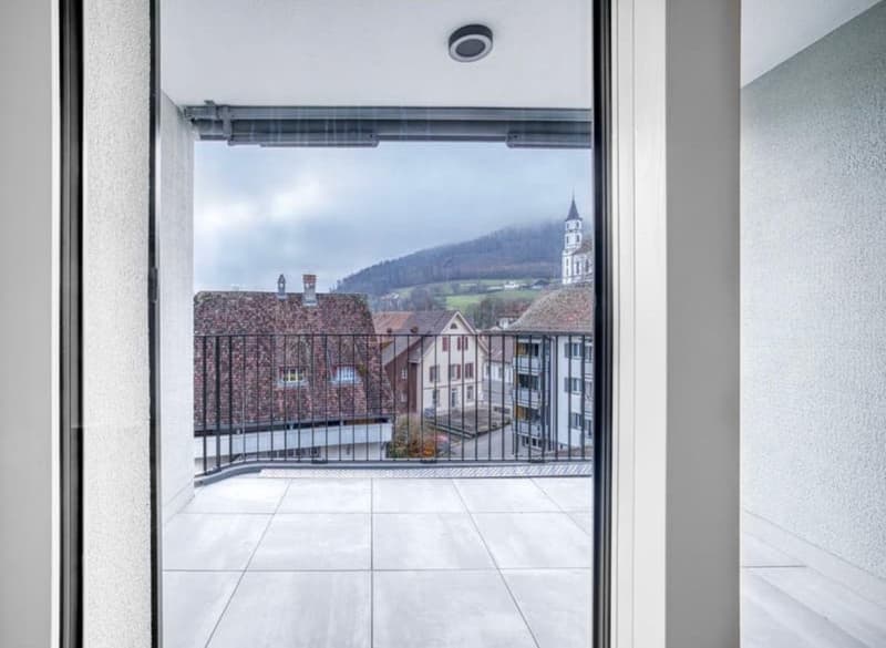 4.5 Zimmer Wohnung (6)