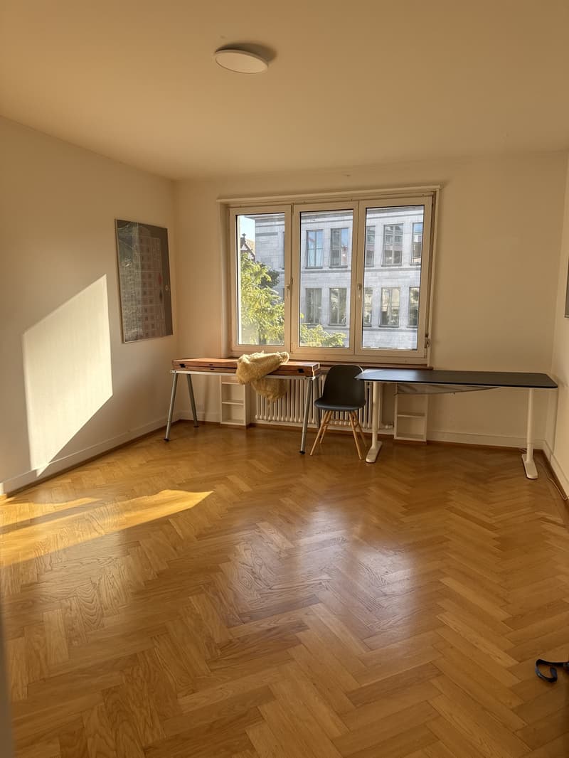 Schönes WG-Zimmer direkt am See/Enge (6)