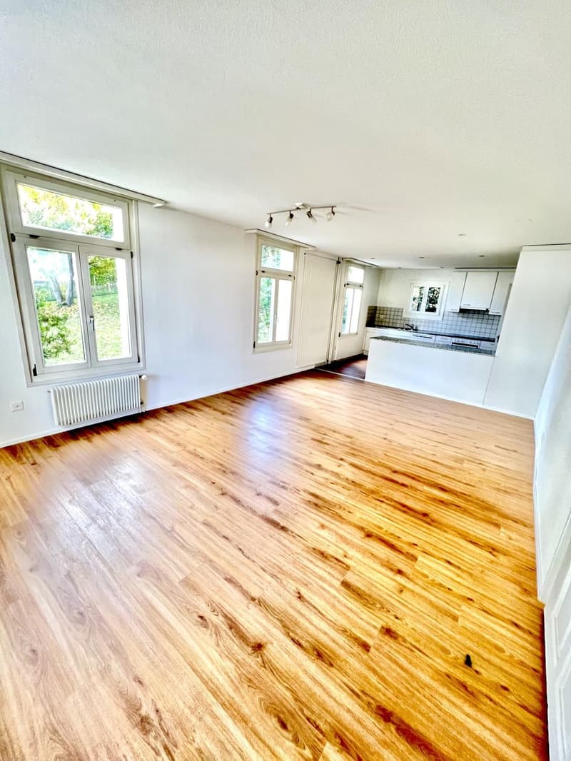 3.5 Zimmer Gartenwohnung in Neuenkirch (1)
