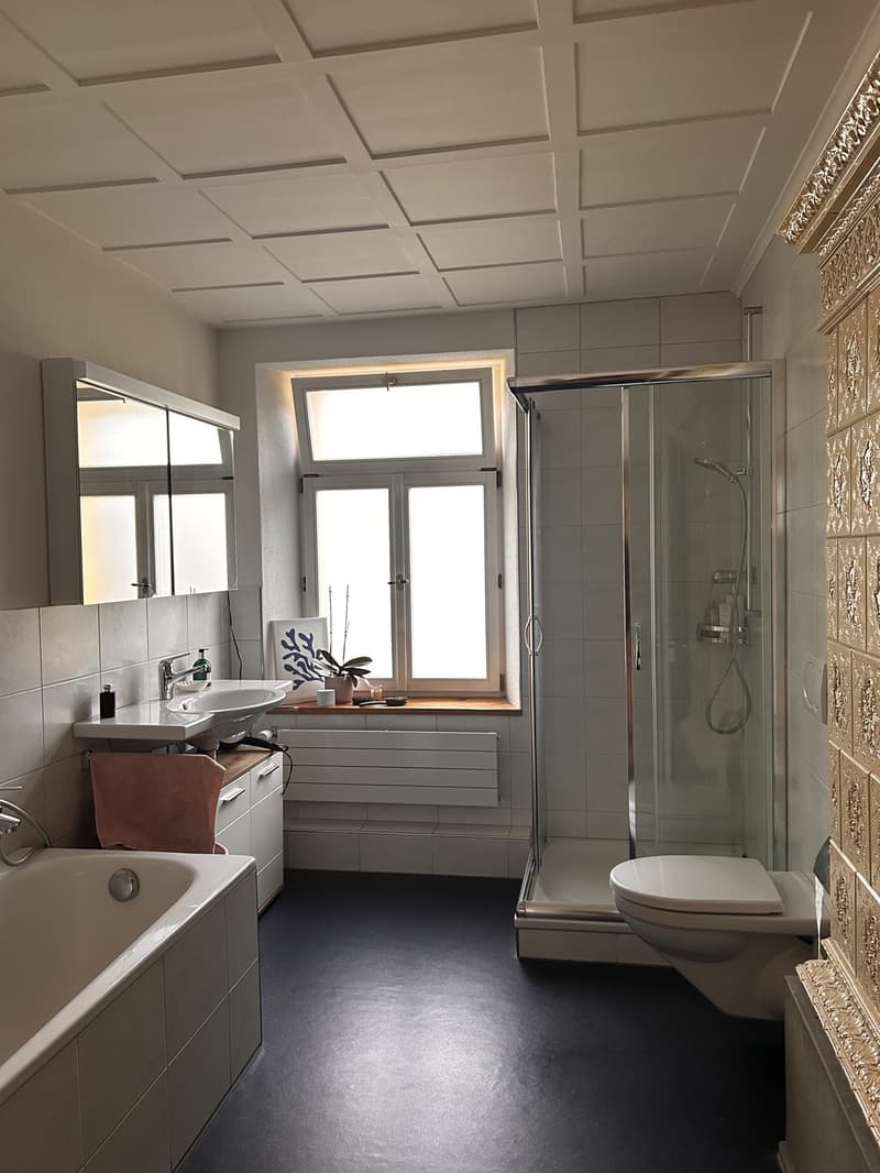Charmante 4.5-Zimmer-Altbauwohnung mit viel Charakter und wunderschönem Raumgefühl (6)