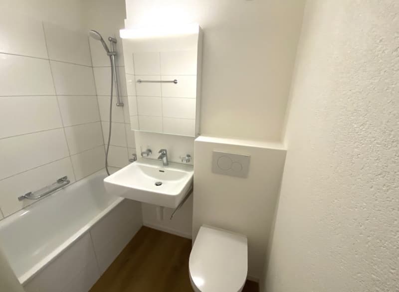 Moderne 1.5-Zimmer Wohnung mit Fernsicht (2)