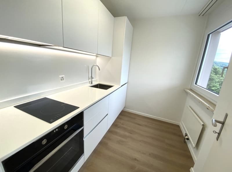 Moderne 1.5-Zimmer Wohnung mit Fernsicht (3)