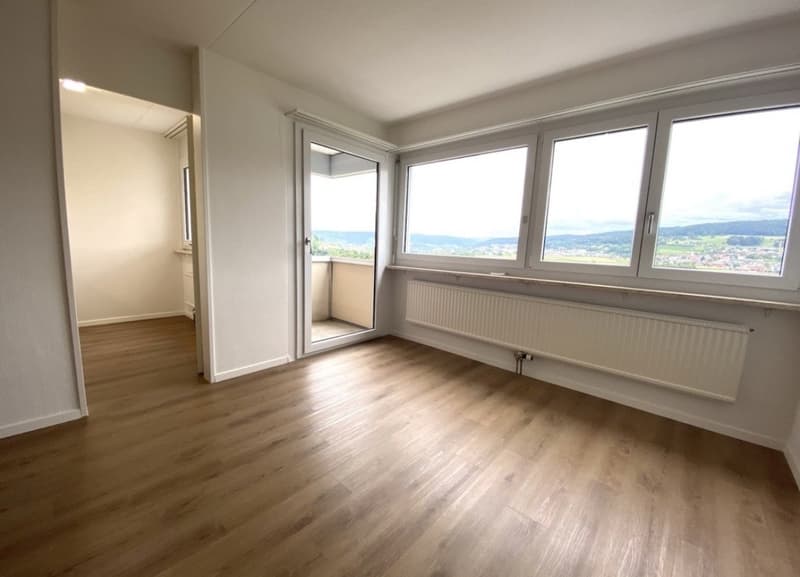 Moderne 1.5-Zimmer Wohnung mit Fernsicht (1)
