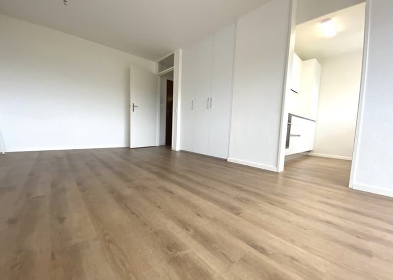 Moderne 1.5-Zimmer Wohnung mit Fernsicht (4)