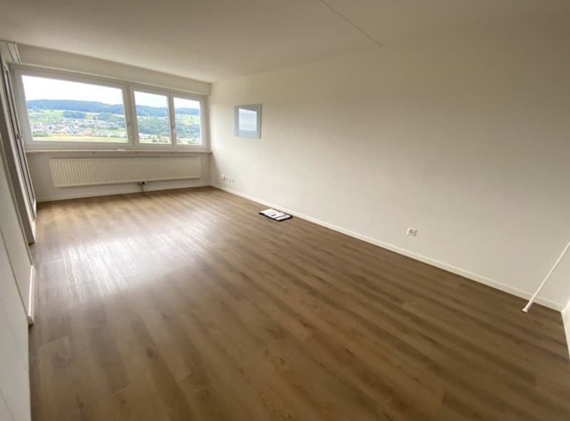 Moderne 1.5-Zimmer Wohnung mit Fernsicht (5)
