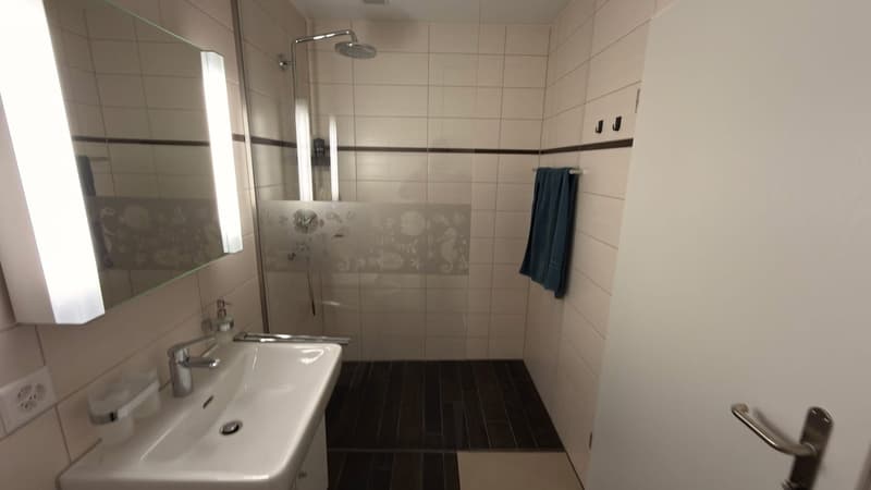 Moderne 3.5-Zimmer 5min vom Bahnhof Winterthur (5)