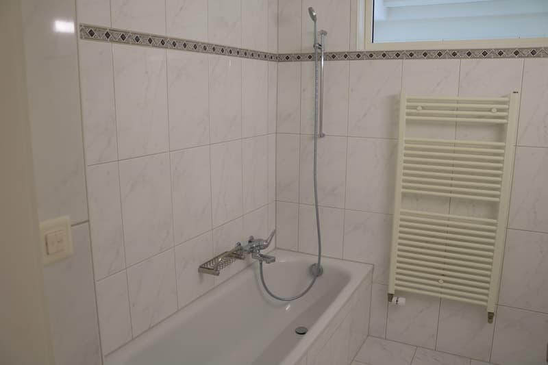 Grosszügige 3 1/2-Zimmerwohnung mit 60 m² Terrasse! (7)
