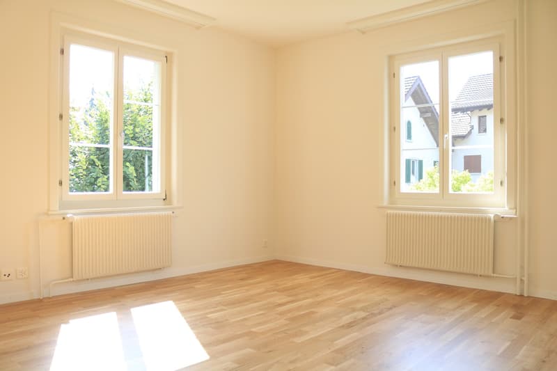 Grosszügige 3 1/2-Zimmerwohnung mit 60 m² Terrasse! (1)