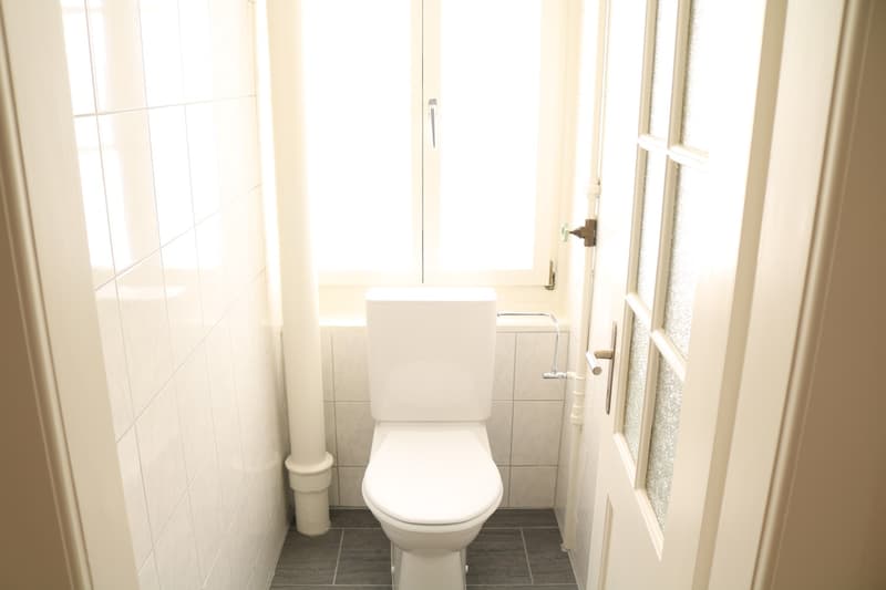 Grosszügige 3 1/2-Zimmerwohnung mit 60 m² Terrasse! (5)